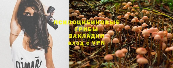трава Абдулино